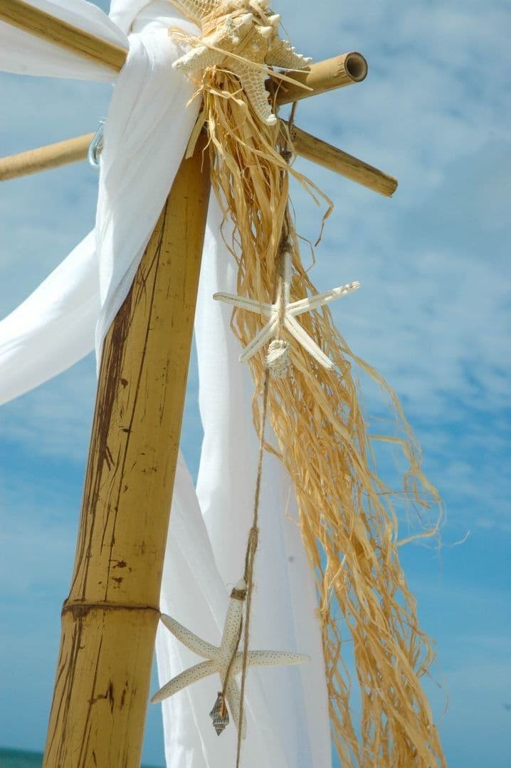 Bamboo wedding arch decorated with white fabric, starfish, and tan raffia against a blue sky.
