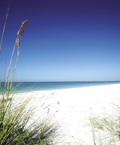 A white sandy beach with blue sky and ocean